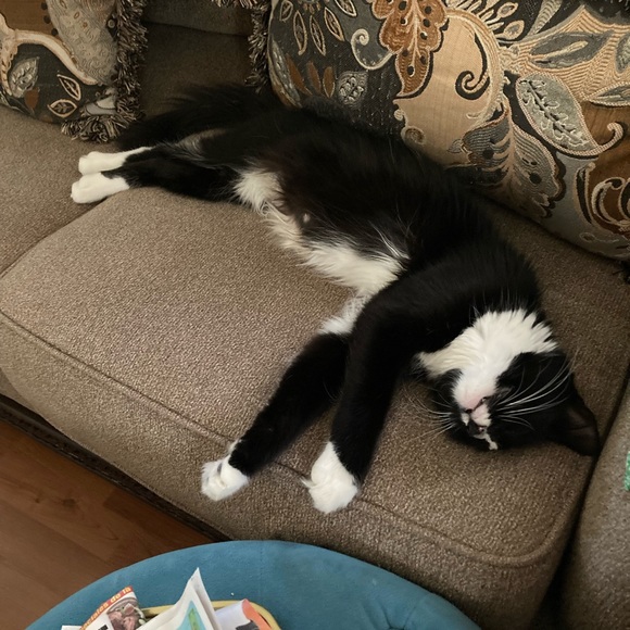 Thank you for visiting my Poshmark Level II Five (5) Star 🌟 Same Day Ship Closet - Picture 9 of 11